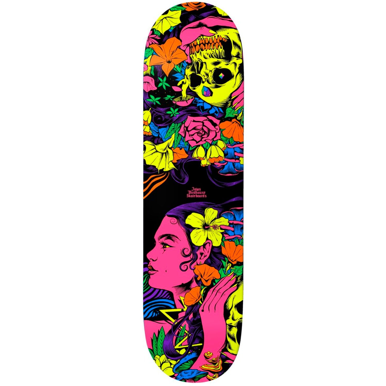 Tabla Birdhouse Jaws emotions - 8.25''