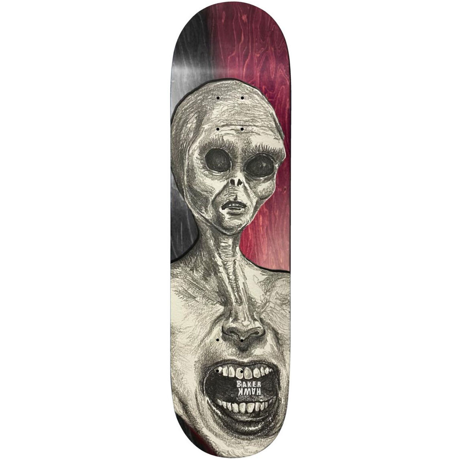 Tabla Baker Riley Hawk Yeller - 8"