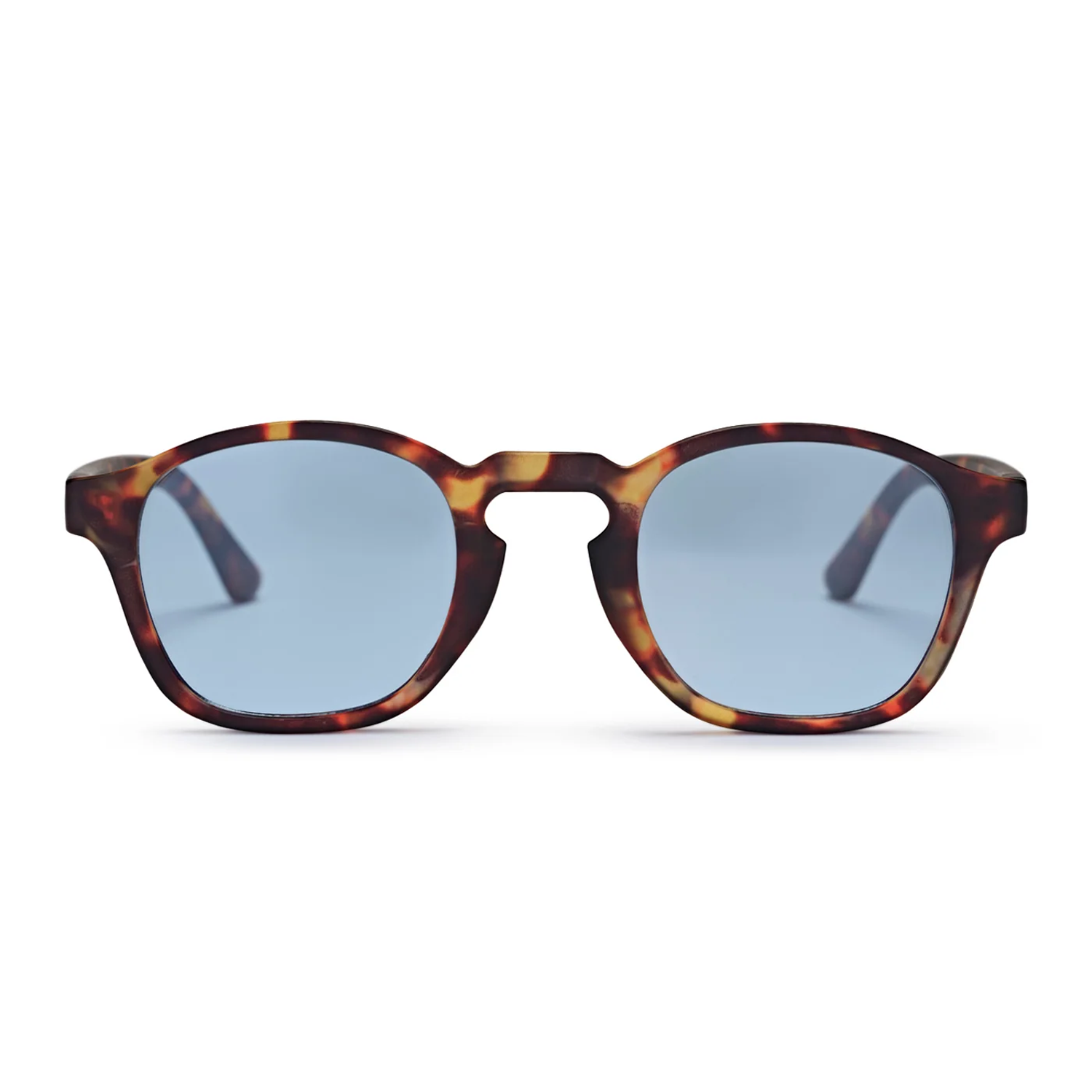 Lentes de sol CHPO Gee turtle brown
