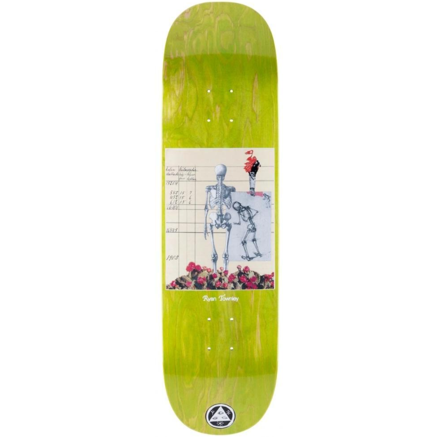 Tabla Welcome Anatomy On Enenra 8.5"