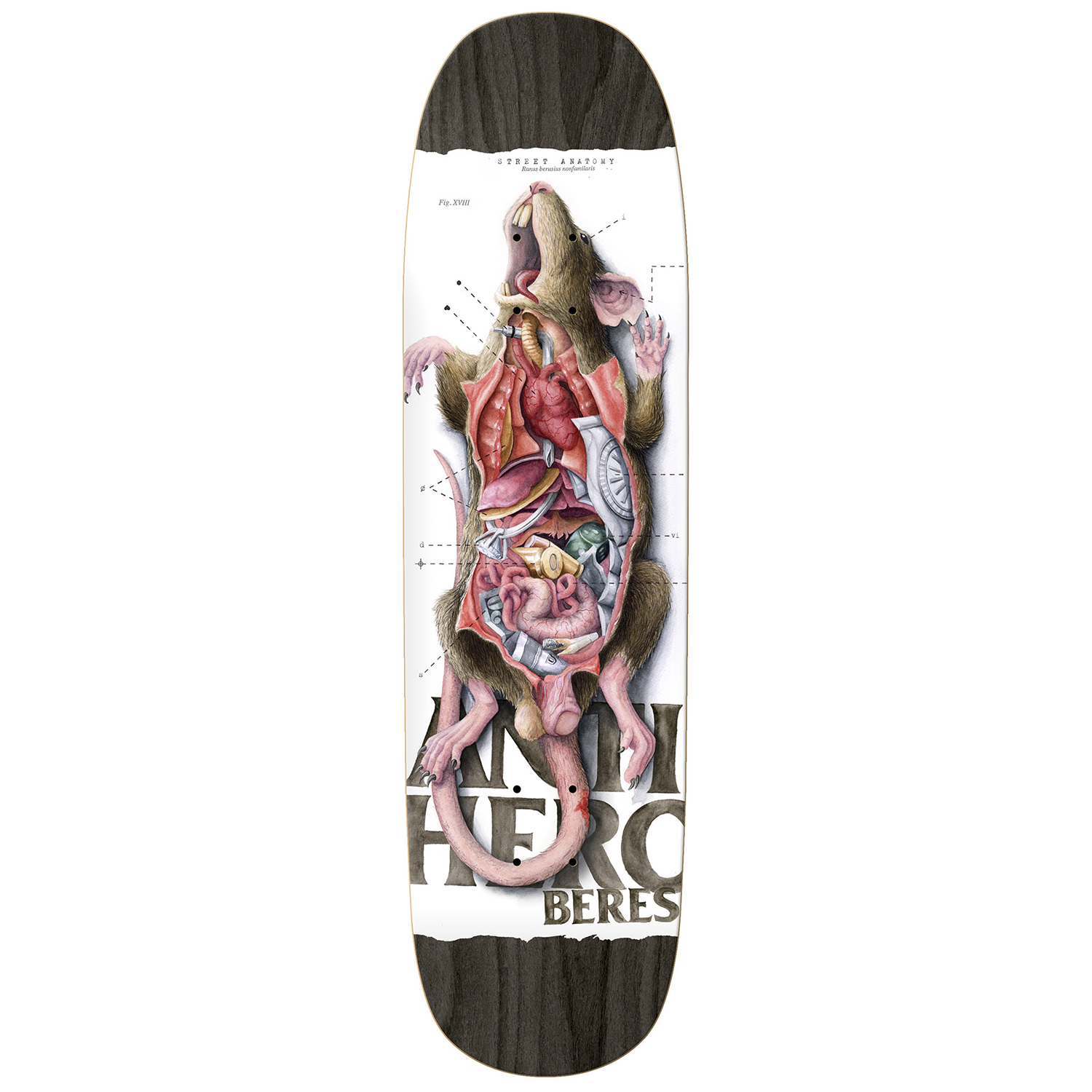 Tabla Antihero Beres Street Anatomy - 8.63''