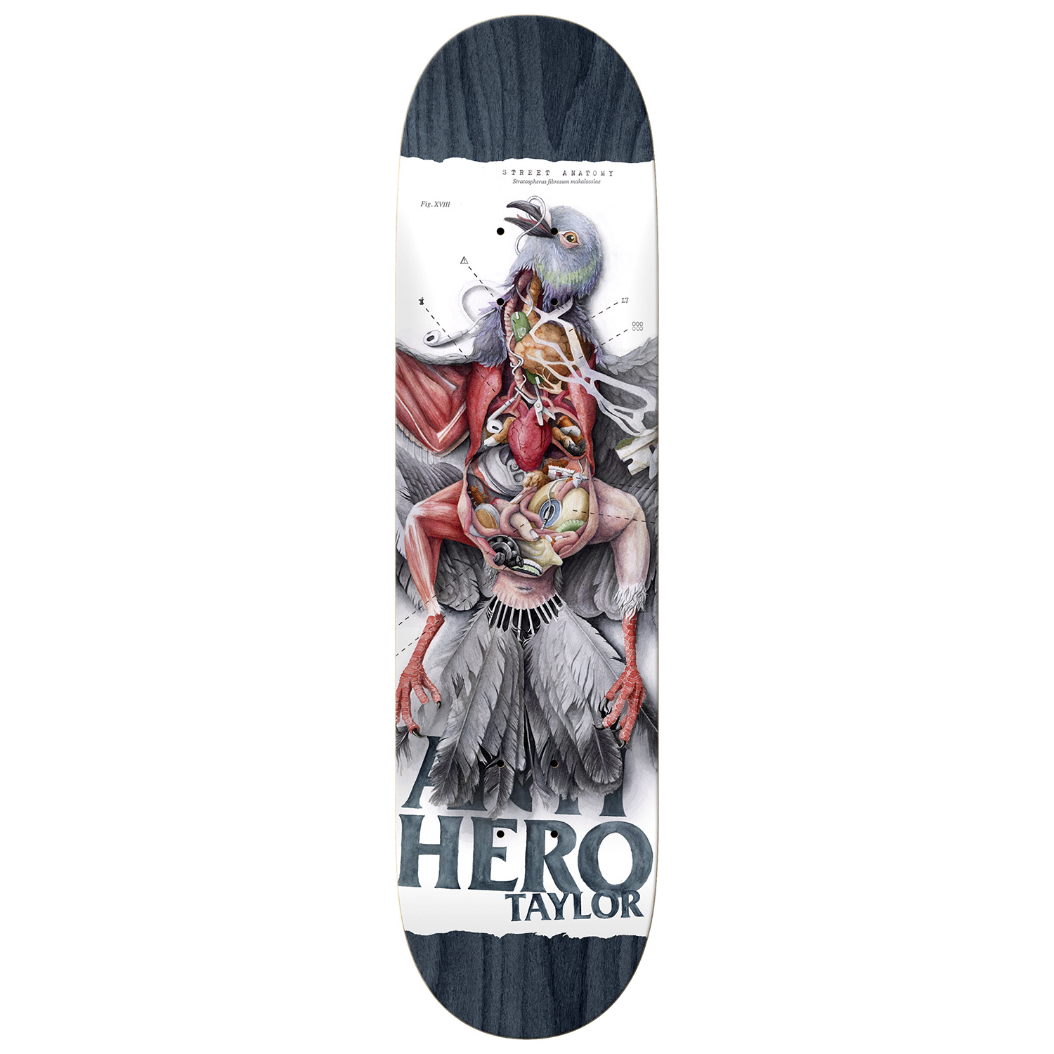 Tabla Antihero Taylor Street Anatomy - 8.5''