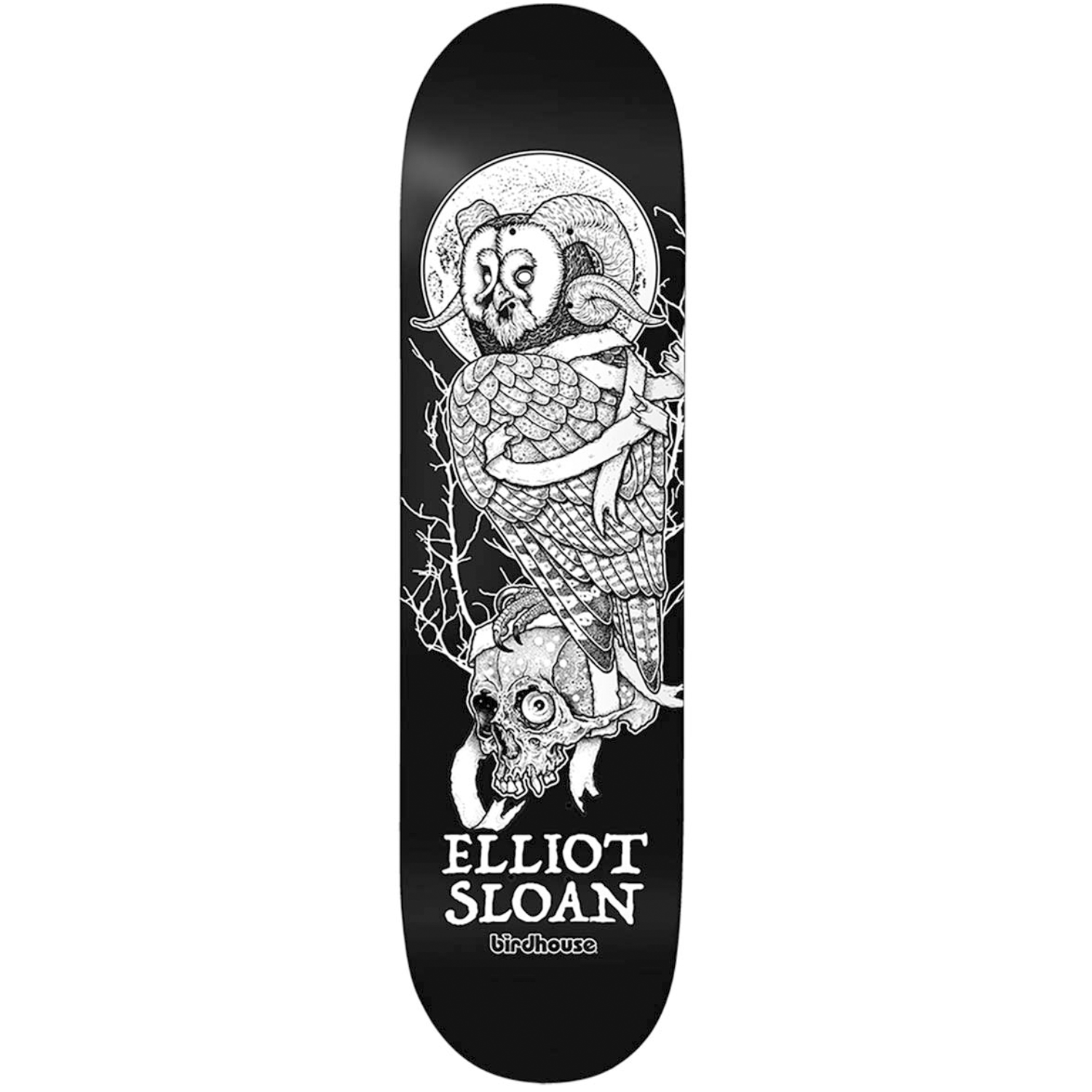 Tabla Birdhouse Elliot Sloan Owl - 8.5"