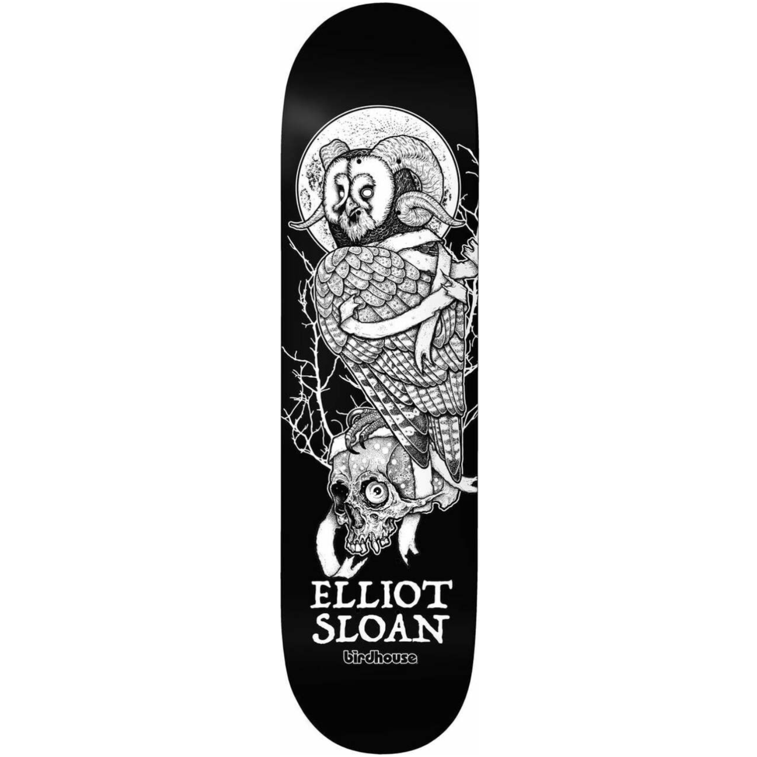 Tabla Birdhouse Elliot Sloan - 8.5"