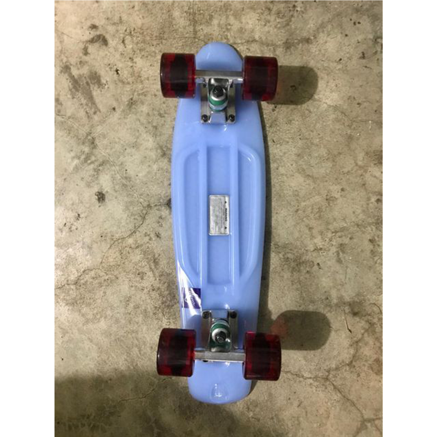 Skate Fish Aqua