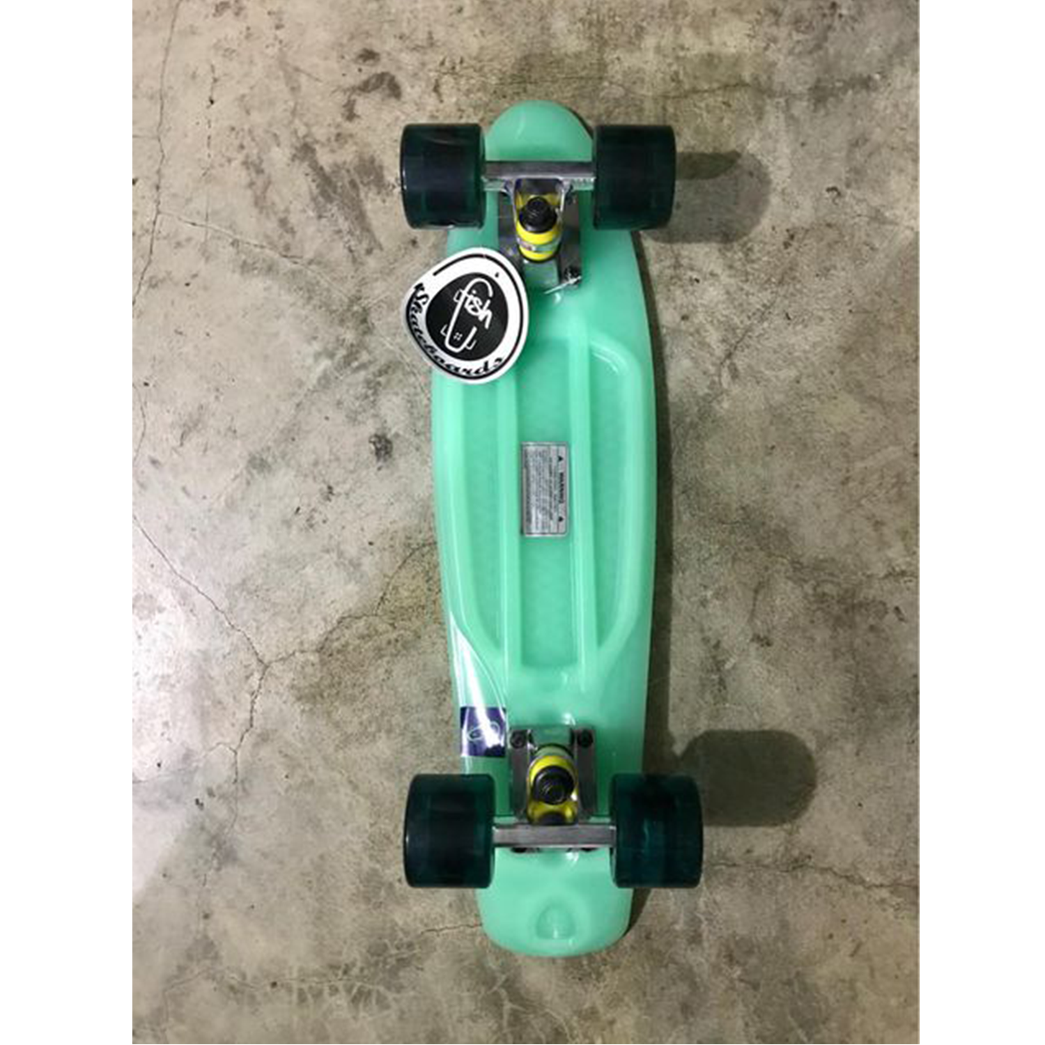 Skate Fish Aqua