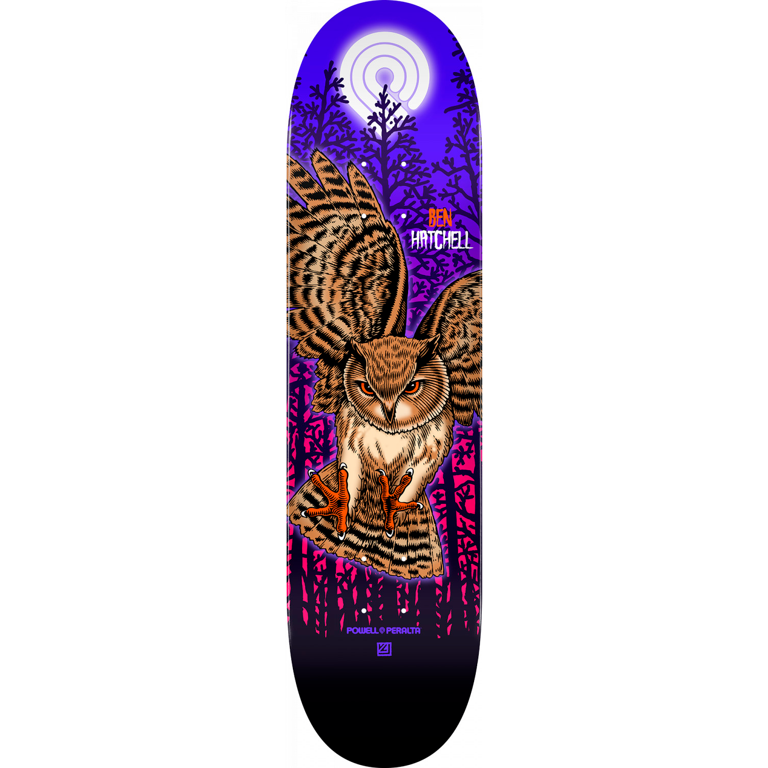 Tabla Powell Peralta Hatchell Owl - 8.25