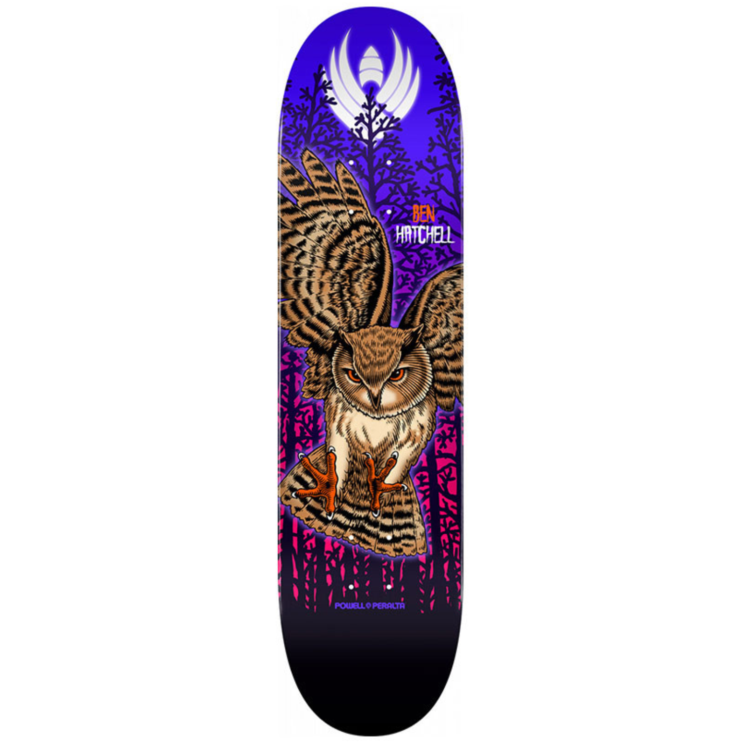 Tabla Powell Peralta Hatchell Owl FLIGHT - 8.5