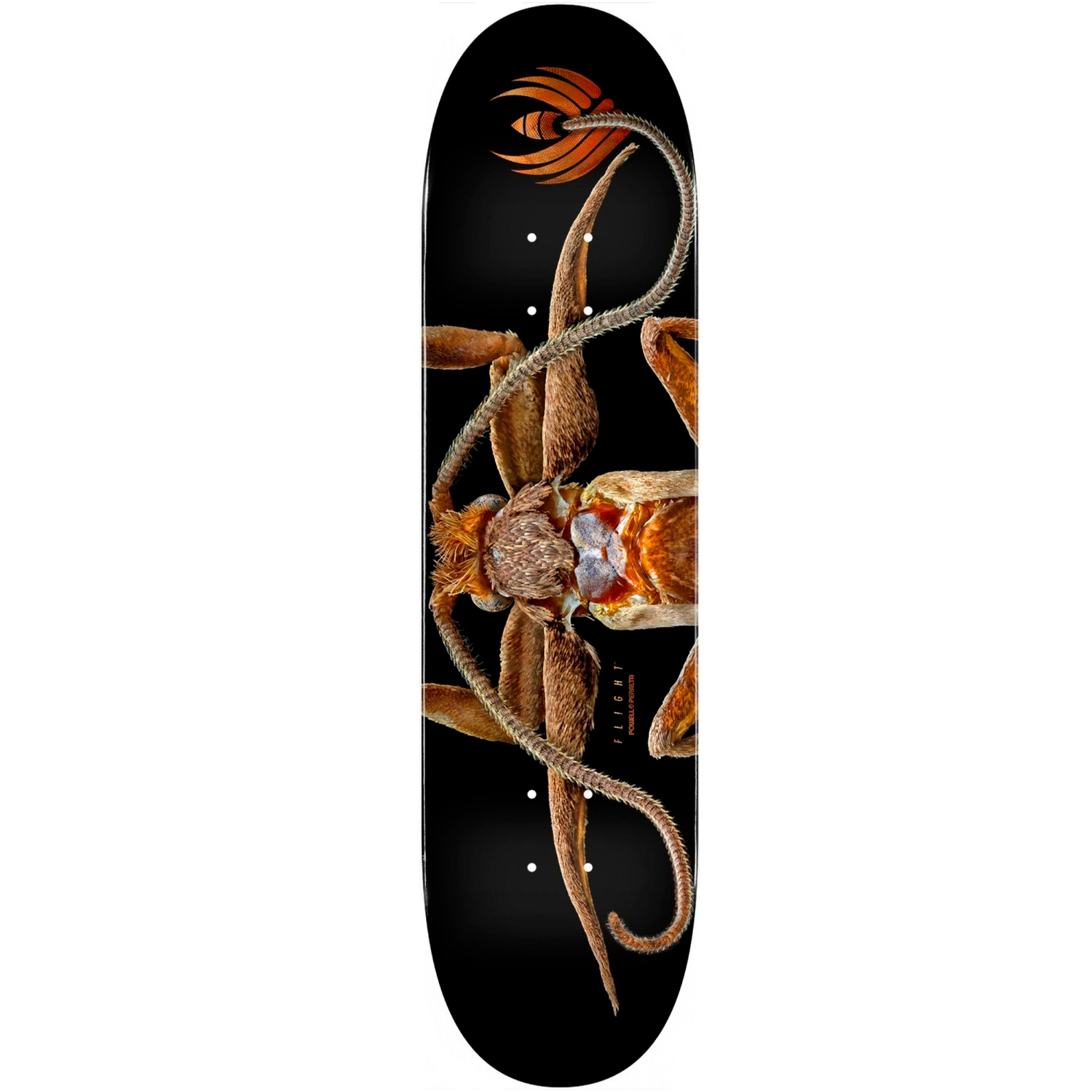 Tabla Powell Peralta FLIGHT Marion Moth - 8.25"