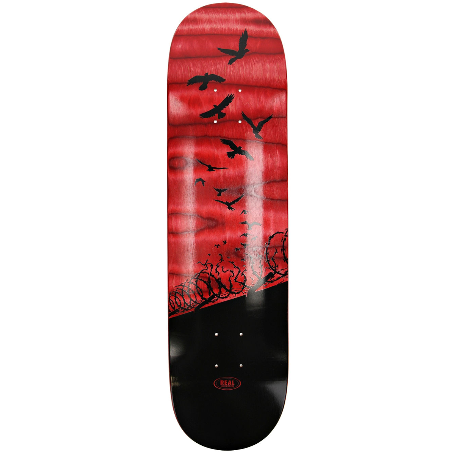 Tabla Real Set Free Spectrum - 8.06" y 8.25"