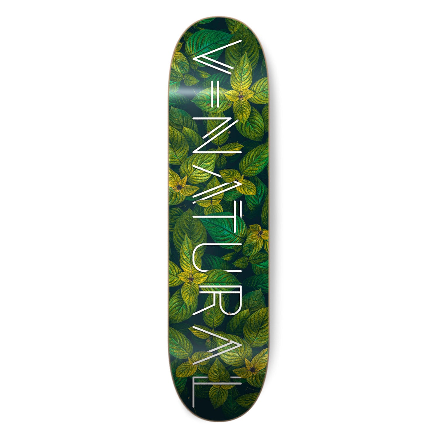 Tabla V-Natural - FOREST 8'', 8.125", 8.25'', 8.5''