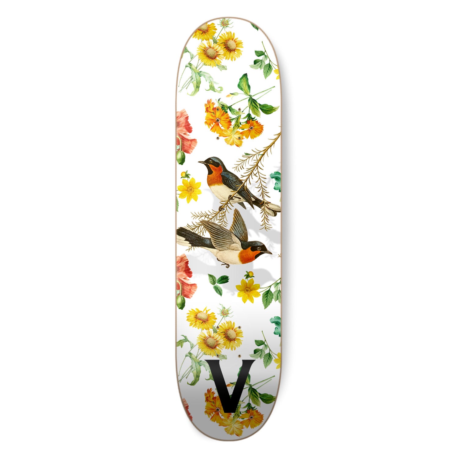 Tabla V-Natural - BIRD 8'', 8.125", 8.25'', 8.5''