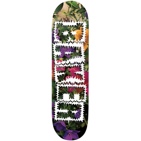 Tabla Baker Reynolds Library card 8"