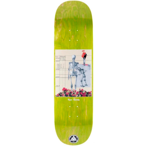 Tabla Welcome Anatomy On Enenra 8.5"