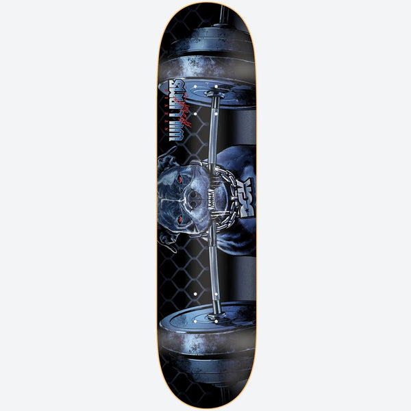 Tabla DGK Caged Stevie 8.06