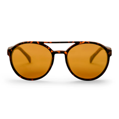 Lentes de sol CHPO Rickard turtle brown gold