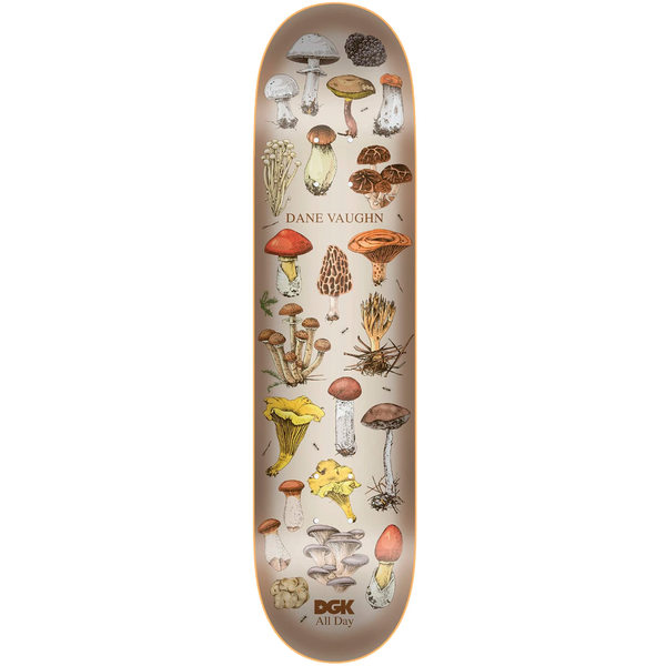 Tabla DGK All Night Vaughn - 8.25"