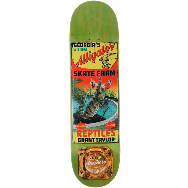 Tabla Antihero Taylor Motel 18 - 8.62''